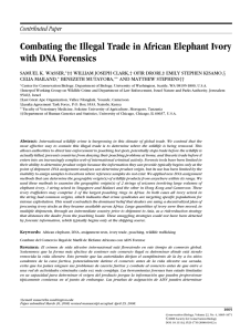 Combating the Illegal Trade in African Elephant Ivory with DNA