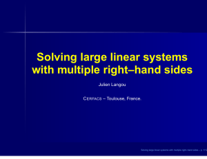 Solving large linear systems with multiple right–hand sides
