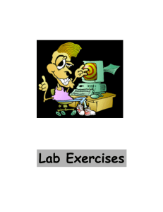 Lab Exercises