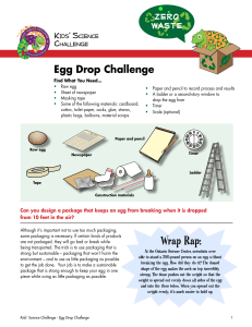 Egg Drop Challenge - Kids` Science Challenge