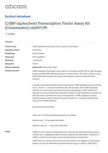 C/EBP alpha/beta Transcription Factor Assay Kit