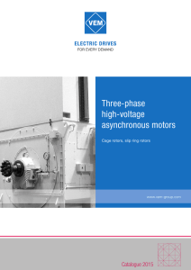 Three-phase high-voltage asynchronous motors