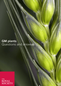 GM plants Questions and answers