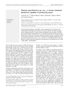 Slackia equolifaciens sp. nov., a human intestinal bacterium capable