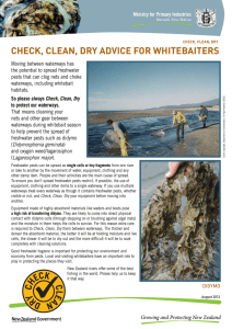 Check, Clean, Dry advice for whitebaiters