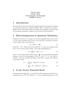1 Introduction 2 Electromagnetism in Quantum Mechanics 3 Is the