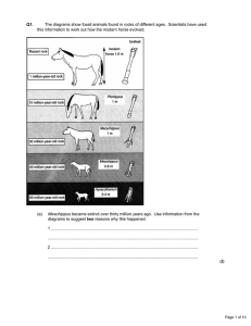 Q1. The diagrams show fossil animals found in rocks of different