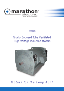 Totally Enclosed Tube Ventilated High Voltage Induction Motors