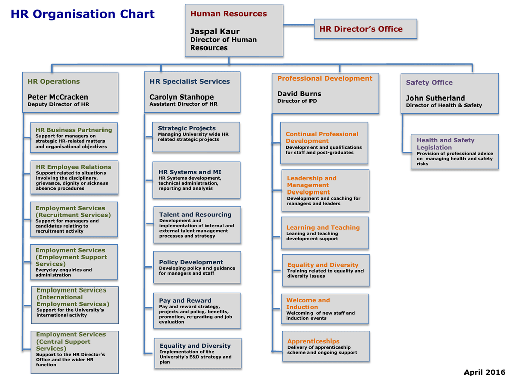 Professional Services Org Chart