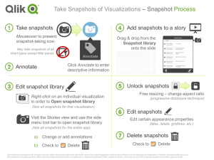 Take Snapshots of Visualizations – Snapshot Process