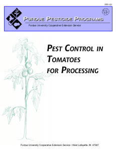 Pest Control in Tomatoes for Processing, PPP-101