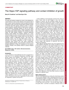 The Hippo-YAP signaling pathway and contact inhibition of growth