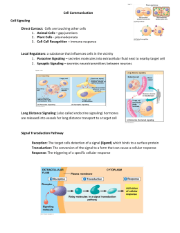 AP Biology Chapter 11 Study Questions “Cell Signaling”