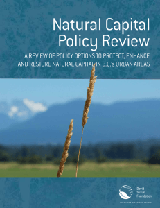 A Review of PoliCy oPtioNs to PRoteCt, eNhANCe ANd RestoRe