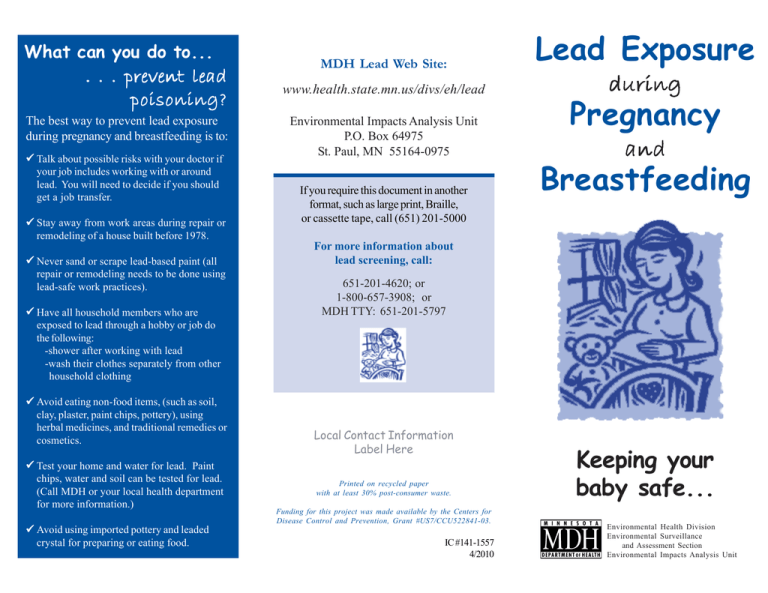 Lead Exposure during Pregnancy and Breastfeeding