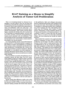 Ki-67 Staining as a Means to Simplify Analysis of Tumor Cell