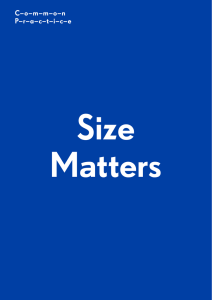 1 Size Matters: Notes towards a Better Understanding of the Value