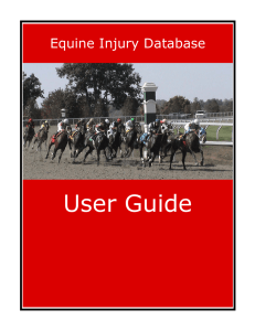 Equine Injury Database - RTO Launch