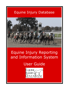 Equine Injury Reporting and Information System User