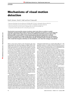 Motion Detector - Center for Neural Science