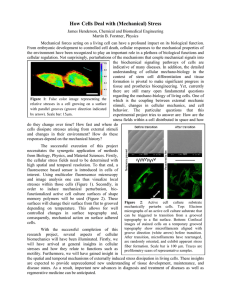 How Cells Deal with (Mechanical) Stress