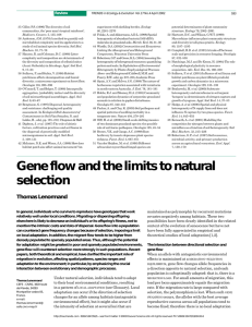 Gene flow and the limits to natural selection