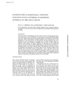 evidence for an essentially constant duration of dna synthesis in