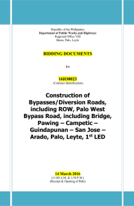 Construction of Bypasses/Diversion Roads, including ROW, Palo