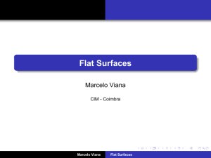 Flat Surfaces