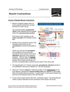 Muscle Contraction - VCC Library