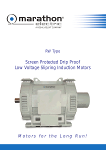 Screen Protected Drip Proof Low Voltage Slipring Induction Motors