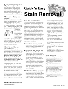 Quick `n Easy Stain Removal - Extension Store