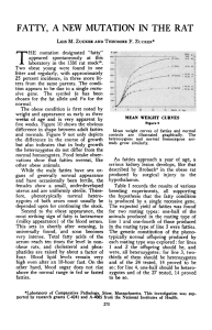 fatty, a new mutation in the rat