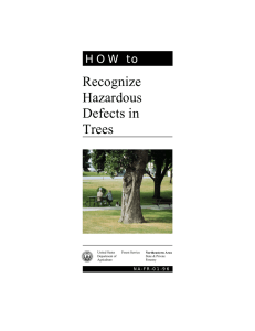 HOW to Recognize Hazardous Defects in Trees