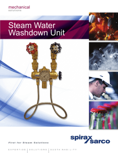Steam Water Washdown Unit