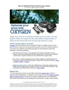 How to Maintain Proper Pond Oxygen Content