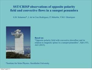 SST/CRISP observations of opposite polarity field and convective
