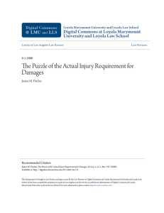 The Puzzle of the Actual Injury Requirement for Damages