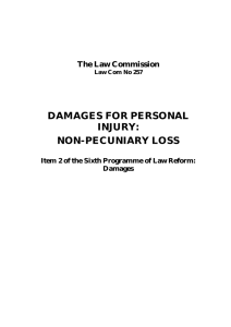 damages for personal injury: non-pecuniary loss