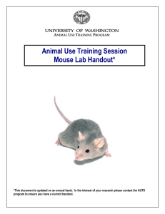 AUTS Mouse Lab Handout - UW Departments Web Server