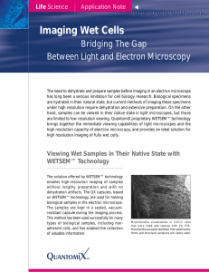 Imaging Wet Cells - QuantomiX WETSEM® Technology