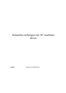 Sensorless techniques for AC machines drives