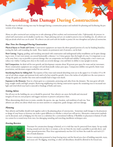 Avoiding Tree Damage During Construction