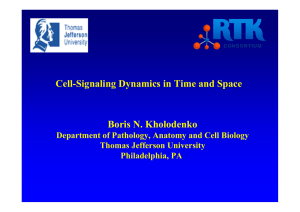 Cell-signaling Dynamics in Time and Space - Systems