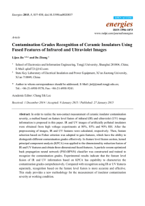 Contamination Grades Recognition of Ceramic Insulators Using