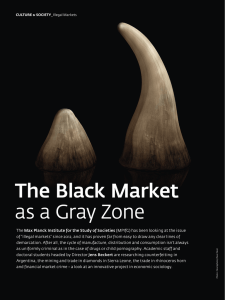 The Black Market as a Gray Zone - Max-Planck