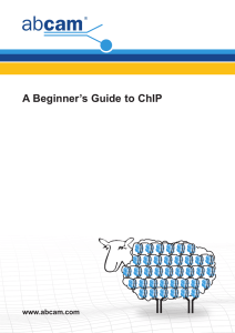 A Beginner`s Guide to ChIP