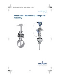 Rosemount™ 485 Annubar™ Flange-Lok Assembly