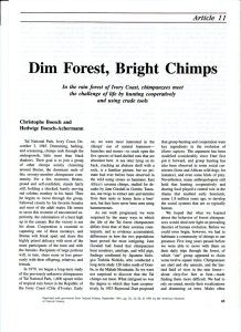 Dim Forest, Bright Chimps