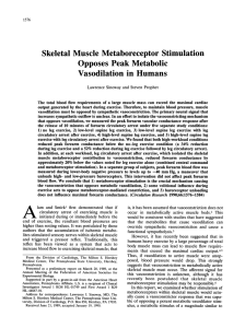 Skeletal Muscle Metaboreceptor Stimulation Opposes Peak